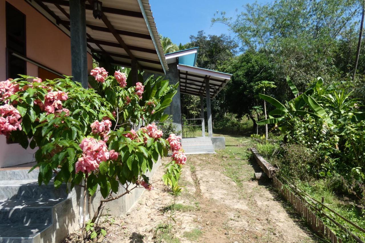 Chom Suan Homestay Ko Kut Exteriér fotografie